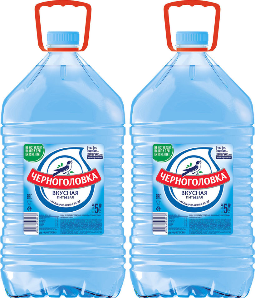 Вода Черноголовка Вкусная питьевая негазированная 5л (упаковка 2 шт.)